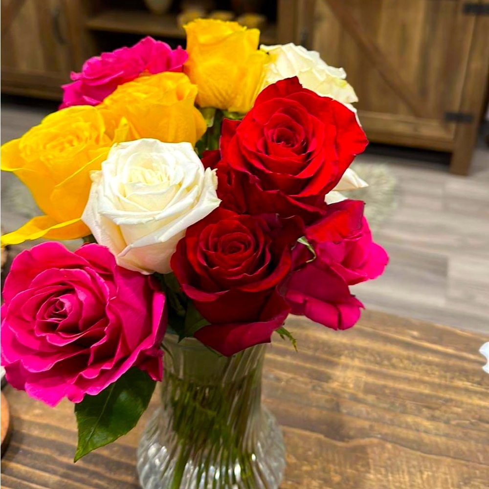 Meet your Posher, Jan louisse